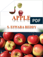 Apple Cultivation
