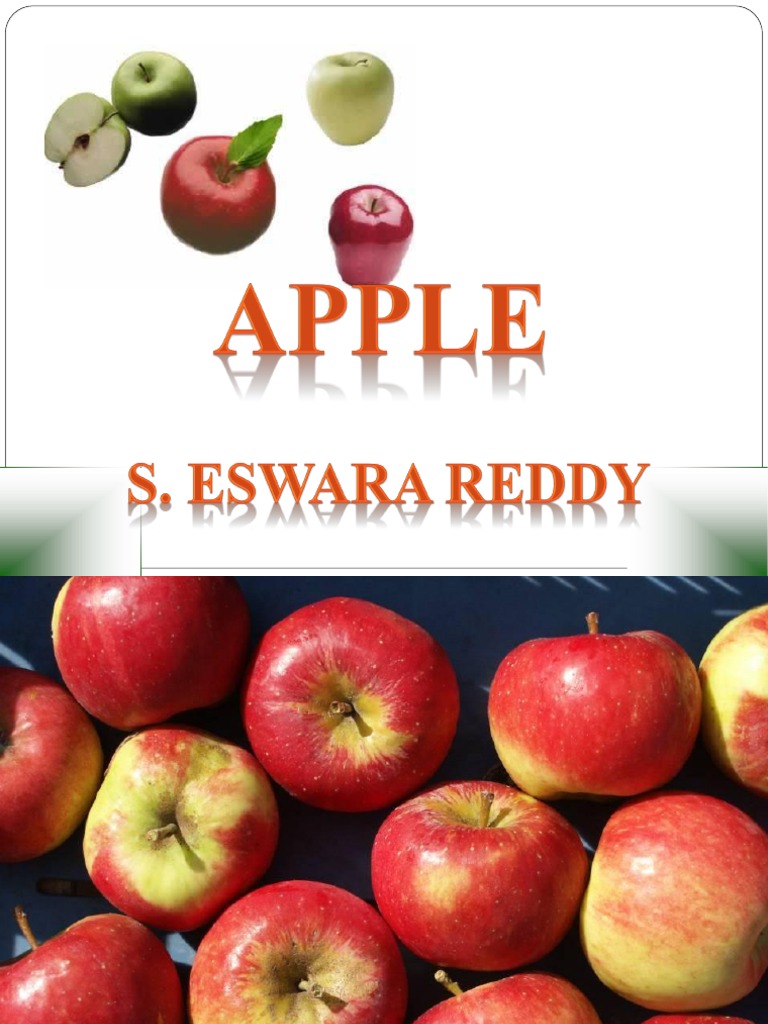 Apple Cultivation PDF Apple Pruning