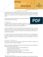 PDF Informe Quincenal Mineria Tajo Abierto y Socavon