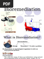 Download Bioremediation by Sahil Bansal SN153414027 doc pdf
