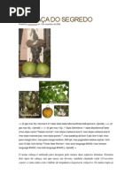 119773435-A-CABACA-DO-SEGREDO-e-as-folhas.docx