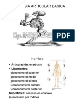 Biomecanica Basica