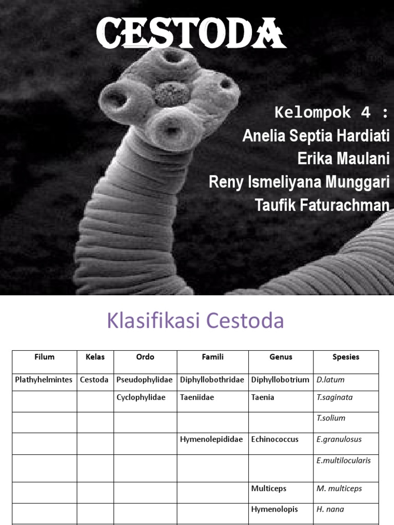 Klasifikasi dan Daur Hidup Cestoda | PDF