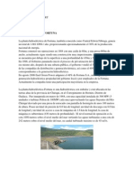 Informe Hidroelectrica Fortuna