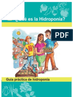 1t_guia_hidroponia.pdf