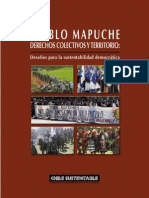 Pueblo Mapuche Derechos Colectivos y Territorio