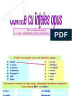 Cu Vint Ecu Inteles Opus