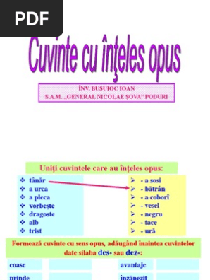 Cu Vint Ecu Inteles Opus