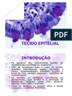 TECIDOS EPITELIAIS