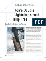 Princeton's Double Lightning-Struck Tulip Tree: Tools