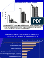 Estrategia Sanitaria Nacional Salud de Los Pueblos Indigenas