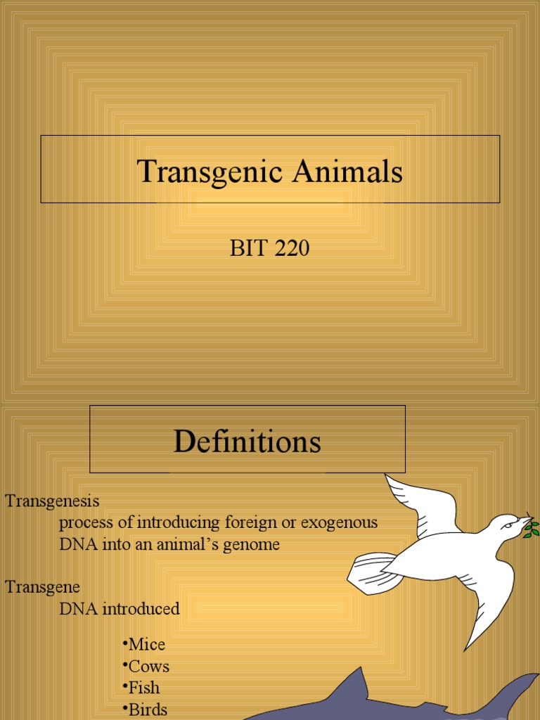 Transgenic Animals Transgene Retrovirus