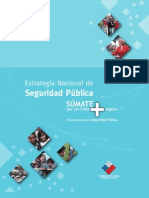 Estrategia Nacional de Seguridad Pública