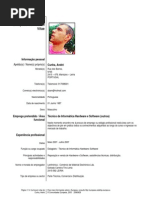 CV André Cunha 2013