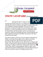Snow Leopard: (Panthera Uncia)