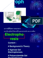Lecture Electrophoresis 2552