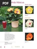 Download Hibiscus Growers by cico_ct SN153535278 doc pdf