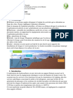 Cours Offshore 1 PDF