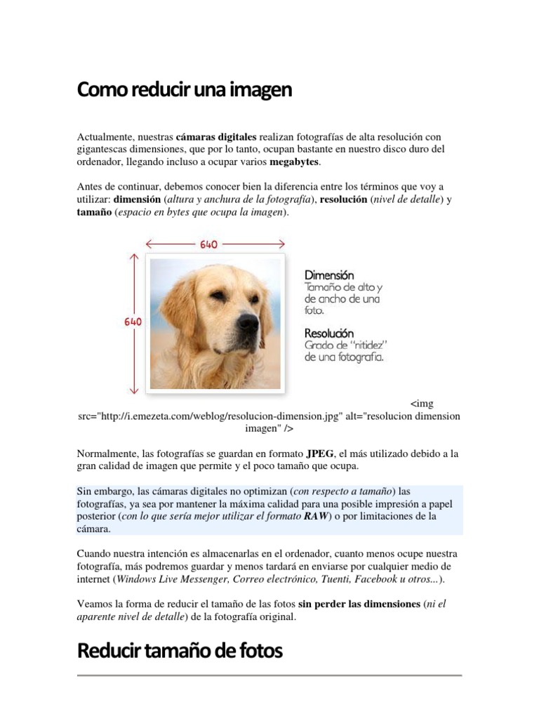 Como Reducir Una Imagen | PDF