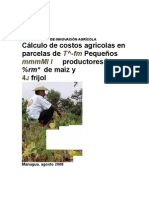 Calculo Costos Agricolas(1)