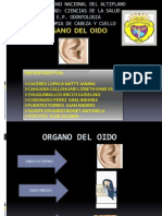 Anatomía de la cabeza y el cuello: órganos del oído