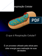 Instrumentação para o Ensino em Bioquímica-Respiração Celular