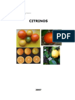 Produção e áreas de citrinos em Portugal