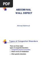 Download Abdominal Wall Defects by Bedahanakugm SN153651642 doc pdf