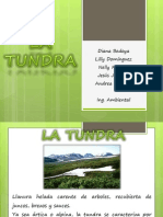 La tundra