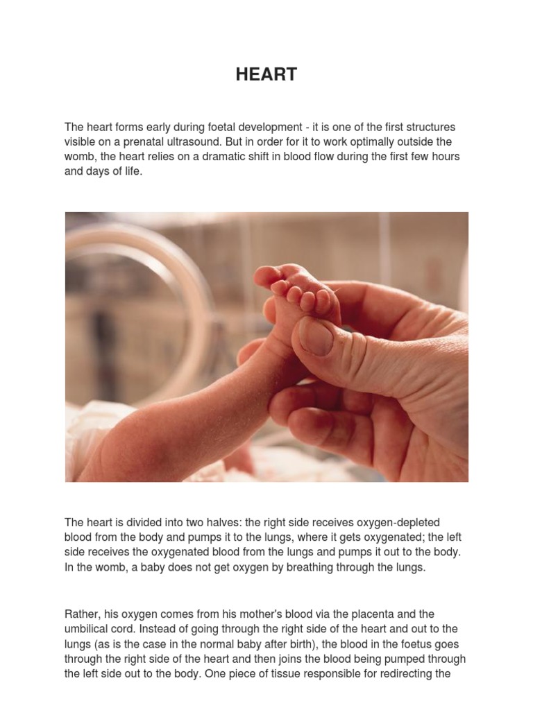 Premature Babies Gastrointestinal Tract Fetus Preterm Birth