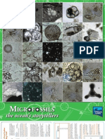 Microfossil Poster