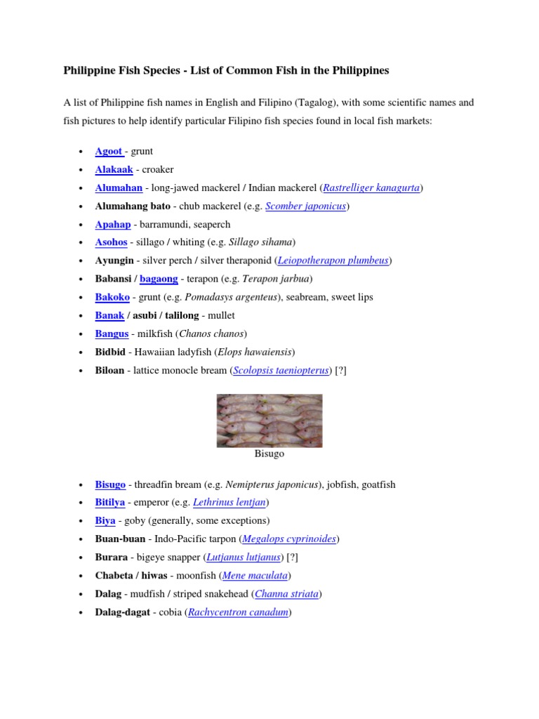 Philippine Fish Species Aquaculture Seafood