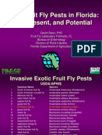 Exotic Fruit Fly Pests Report