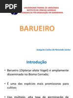 BARUEIRO.pdf
