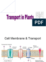 Bio f4_Root Transport 1011
