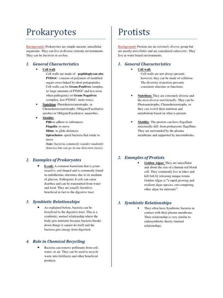 Prokaryotes Vs Protists | PDF | Bacteria | Cell Wall