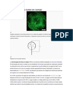 Microscopio de Iones en Campo