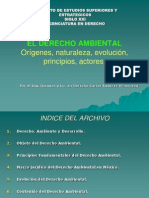 02 El Derecho Ambiental