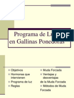 Programa de Luz