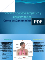 Sistema Nervioso Simpático y Parasimpático