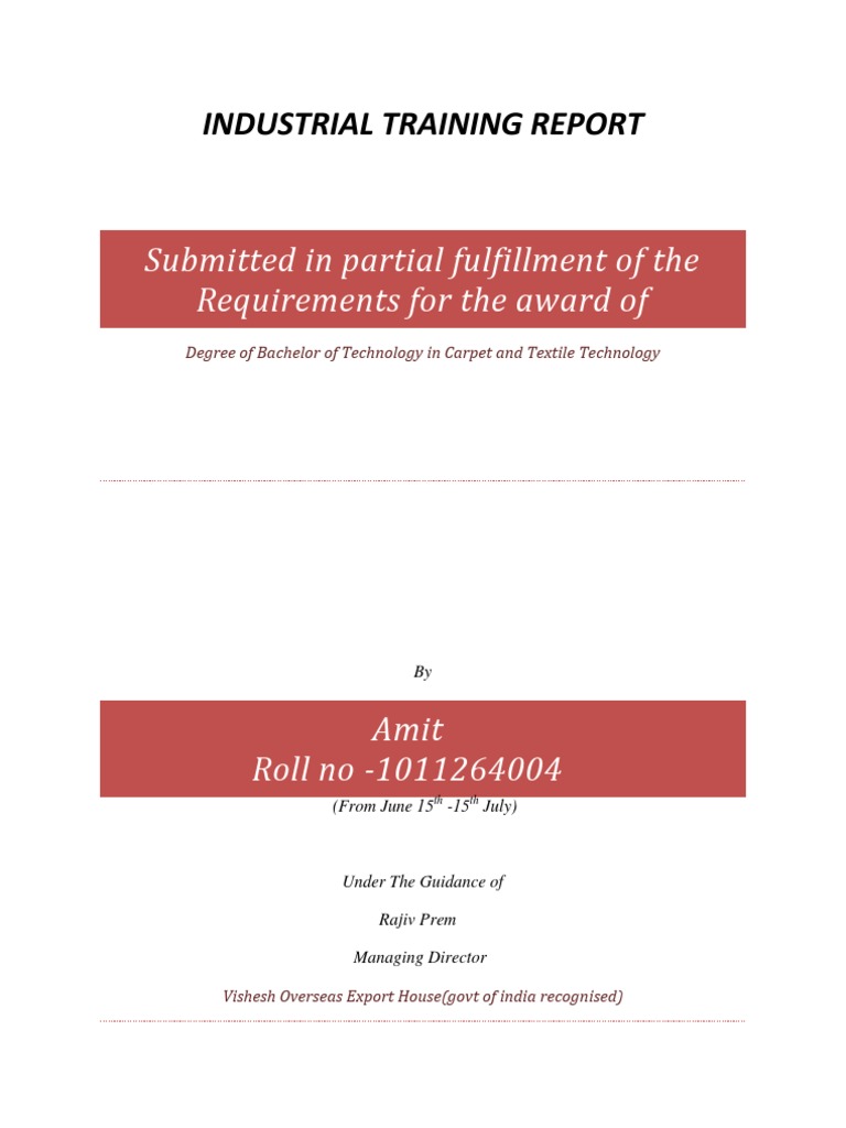 Industrial Training Report | PDF | Business | Computers