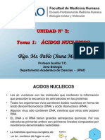 22.  Acidos Nucleicos