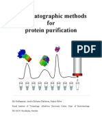 Protein purification methods: Chromatography