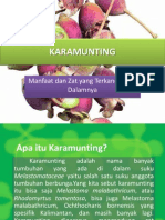 Karamunting (Untuk Presentasi)