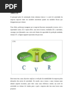 Download Cvr by David Figueiredo SN153875925 doc pdf