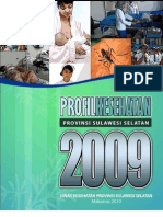 Profil Kesehatan Sulawesi Selatan 2009 PDF