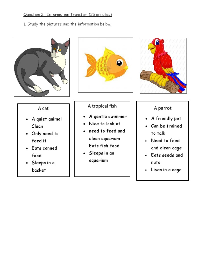 Pet Comparison: Cat, Fish, Parrot | PDF