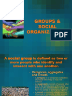 8 Groups and Social Organizations