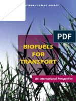 Biofuels2004 PDF