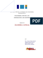 Apuntes Algebra Lineal U. Federico Santa Maria